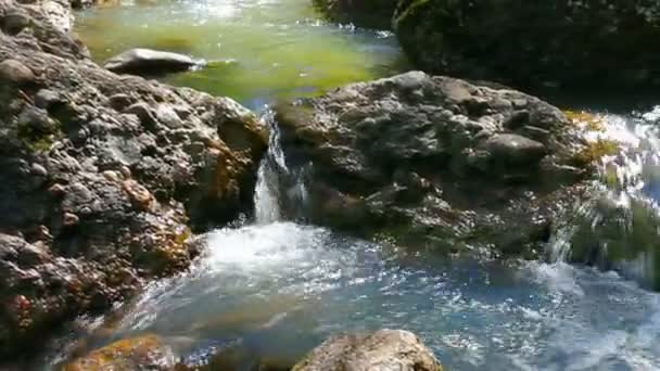 Zomer berg rivier met snelle stroming — Stockvideo