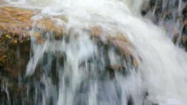 Hızlı akım ile yaz dağ nehir — Stok video
