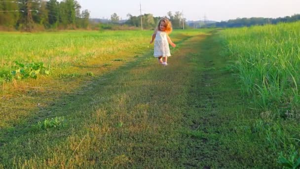 Щаслива маленька дівчинка в сукні на лузі — стокове відео