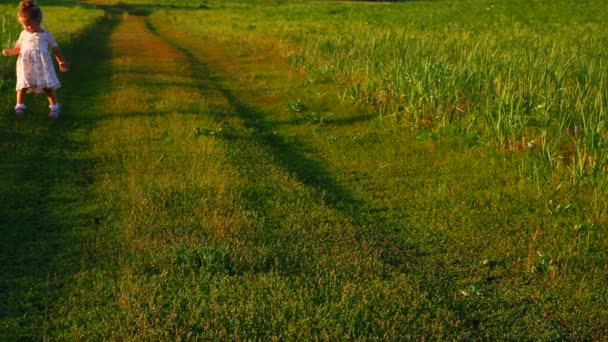 Happy little girl in dress on meadow — Stock Video