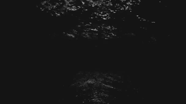 Reflexão da lua nas ondas do mar da noite — Vídeo de Stock