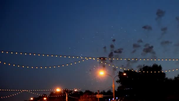 Feux d'artifice de célébration - timelapse — Video