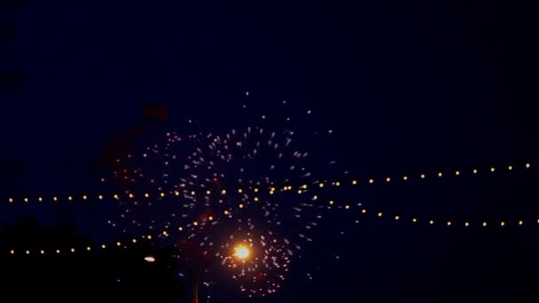 Fuochi d'artificio celebrazione — Video Stock