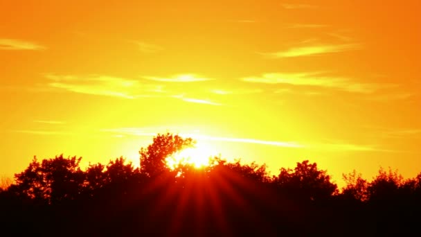Timelapse com pôr-do-sol amarelo — Vídeo de Stock