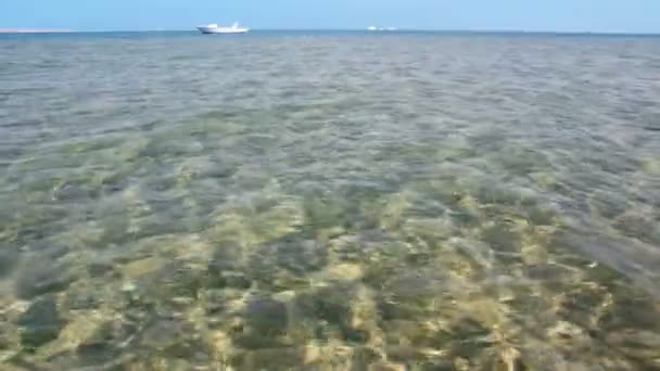 浅い太陽からまぶしさと透明な海の水 — ストック動画
