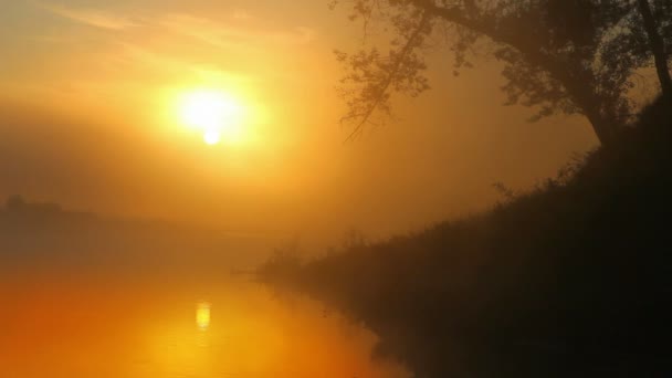 Paesaggio con alba sul fiume — Video Stock