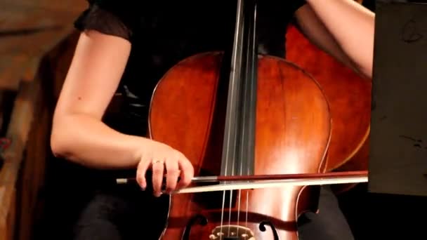 Vista de perto sobre violoncelo na orquestra — Vídeo de Stock