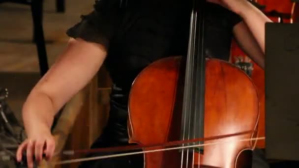 Close-up view on violoncello in orchestra - timelapse — Stock Video