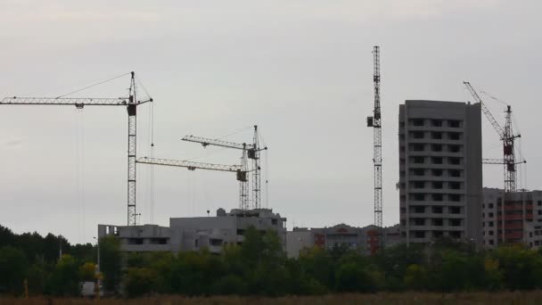 Grues de construction fonctionnant - timelapse — Video