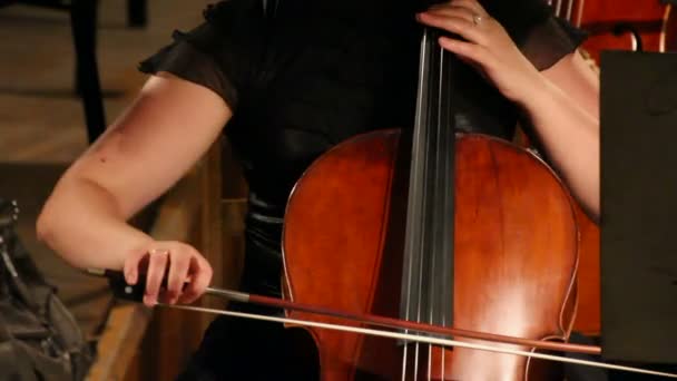 Close-up view on violoncello in orchestra — Stock Video