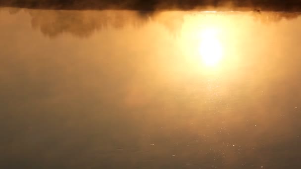 Reflexão do nascer do sol no rio com névoa — Vídeo de Stock