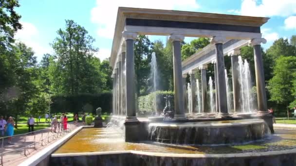 Leeuw trapsgewijs fontein in petergof park st. petersburg, Rusland — Stockvideo