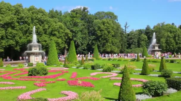 Fuentes romanas en petergof parque San Petersburgo Rusia — Vídeos de Stock