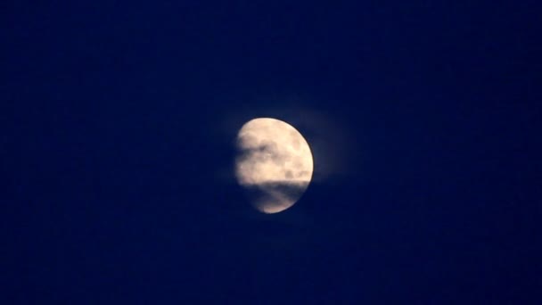 Månen rör sig mellan moln — Stockvideo
