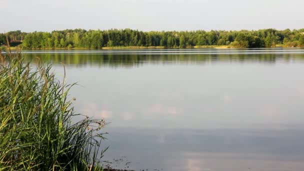 景观与傍晚的湖 — 图库视频影像