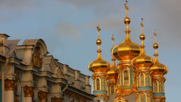 Catherine Palace - Pushkin, Tsarskoe Selo, St. Petersburg — Stock Video