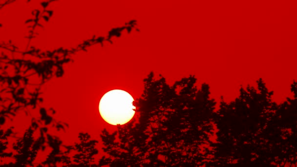 Timelapse s krásný západ slunce — Stock video