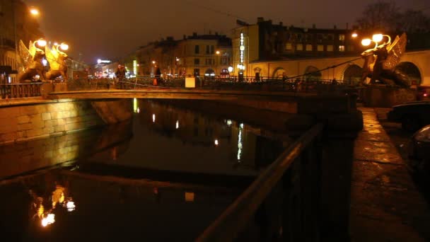 Griffioenen op bank brug in Sint-petersburg's nachts — Stockvideo