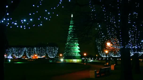 Christmas tree in Saint Petersburg at night — Stock Video