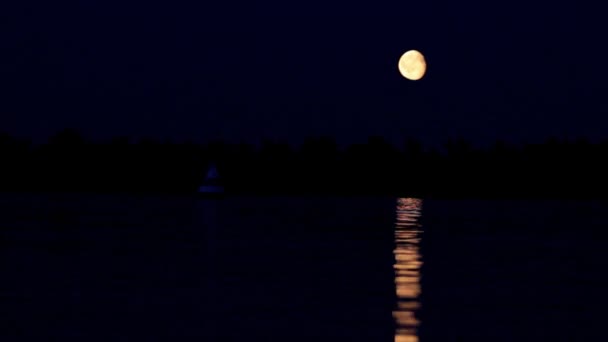 Ночная луна и лунный луч в реке — стоковое видео