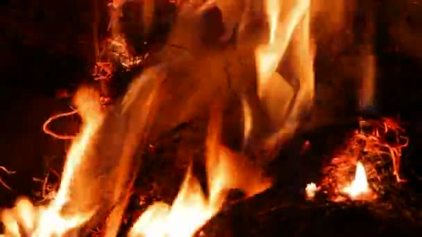 Detailní pohled na plamen v noci — Stock video