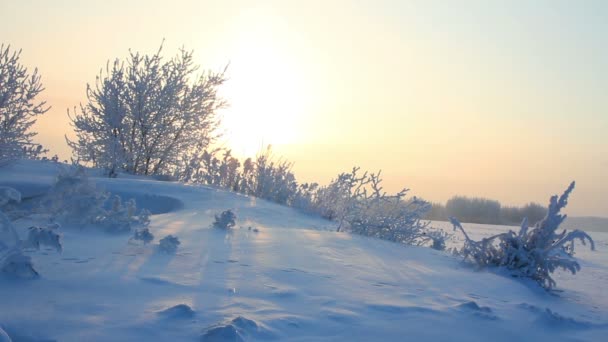 Amanecer - paisaje de invierno por la mañana — Vídeos de Stock