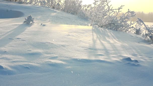 Ήλιο ανόδου - χειμερινό τοπίο πρωί — Αρχείο Βίντεο