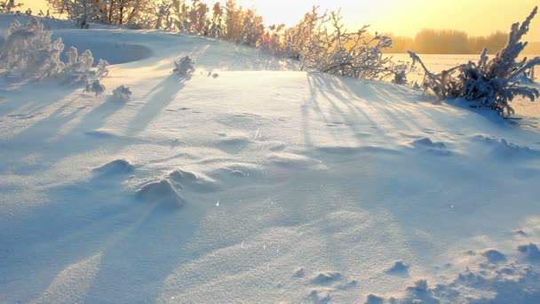 Восход солнца - зимний утренний пейзаж — стоковое видео