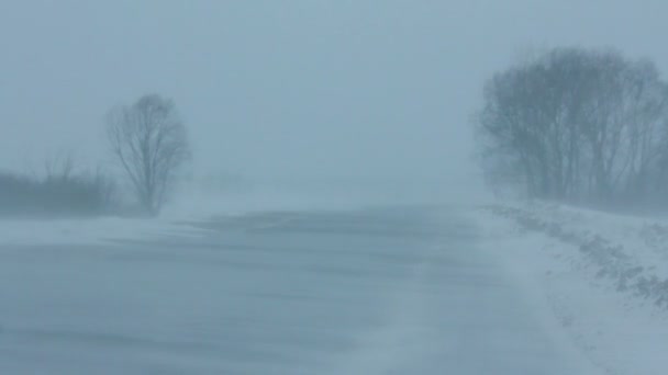 Cars on winter road at blizzard — Stock Video