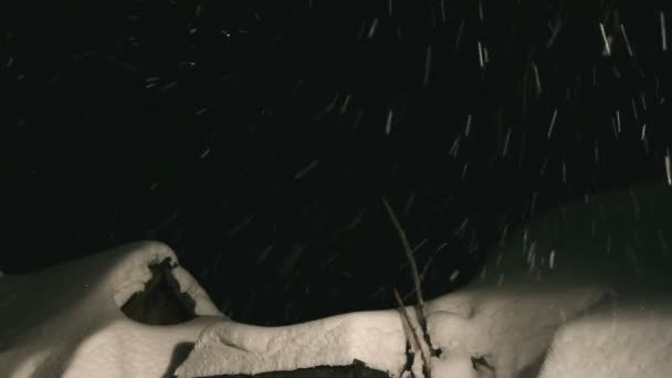 Nieve nocturna y techo cubierto de nieve — Vídeo de stock