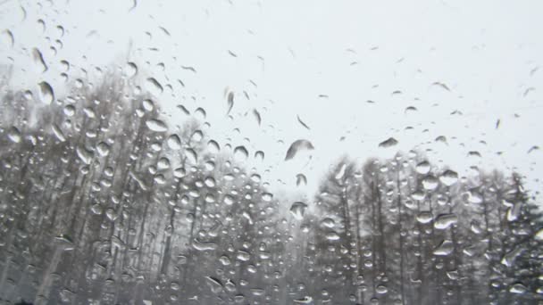 Vetro finestra con gocce di pioggia e neve — Video Stock