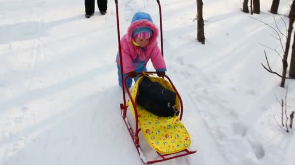 Bebé niña empuja trineo en el parque de invierno — Vídeo de stock