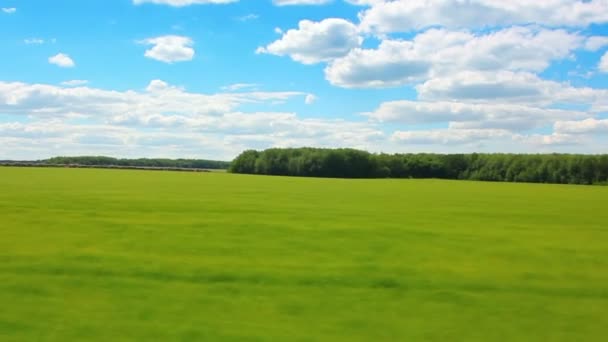 Rijden langs het groene veld op zomer — Stockvideo