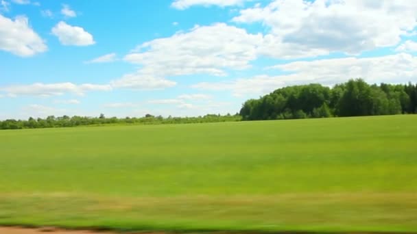 Conduire le long d'un champ vert en été — Video