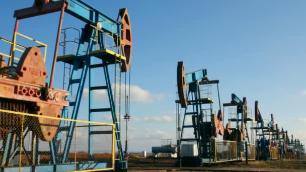 Rad av många arbetande olja pumpar — Stockvideo