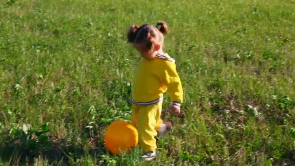 Petite fille avec boule sur prairie — Video