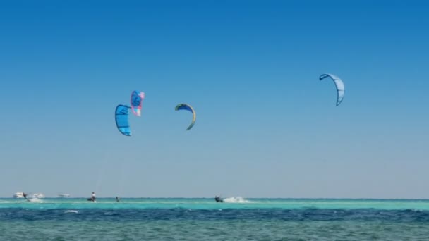 Кайтсерфинг - серферы на синей поверхности моря — стоковое видео