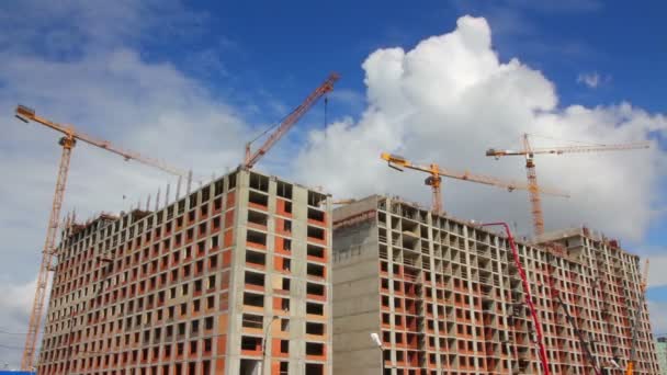 Grues de construction en état de marche - timelapse — Video