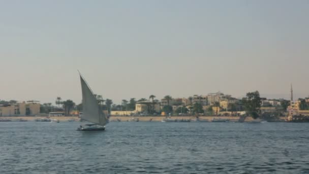 Velero navegando en el río — Vídeo de stock