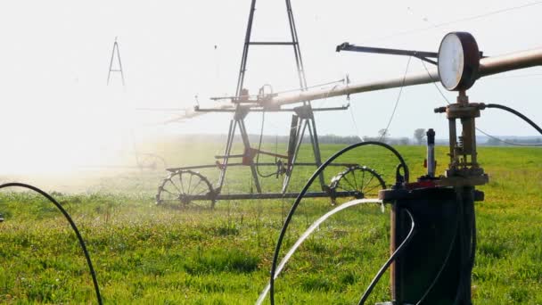 自动灌溉的农业领域 — 图库视频影像