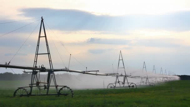 Riego automático del campo agrícola — Vídeo de stock