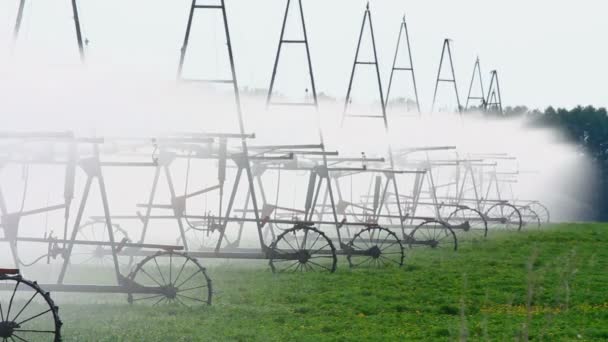 Riego automático del campo agrícola — Vídeos de Stock