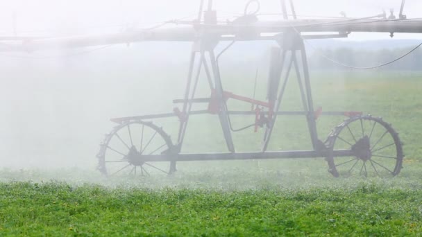 Automatische irrigatie van landbouw veld — Stockvideo