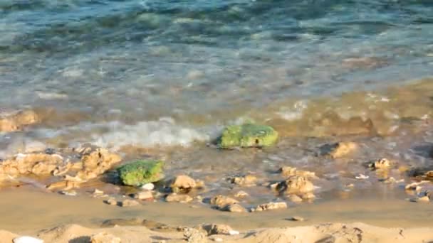 Turkosa havet vattenvågor och stenar — Stockvideo