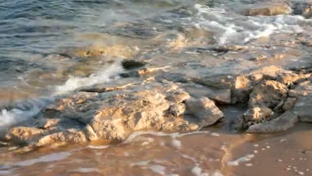 Onde e pietre turchesi di acqua di mare — Video Stock