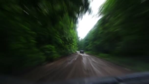 Fahrt auf matschiger Waldstraße - Zeitraffer — Stockvideo