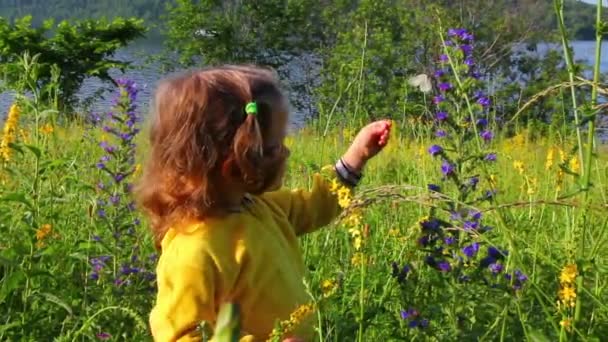 Klein meisje en vlinder op bloem — Stockvideo