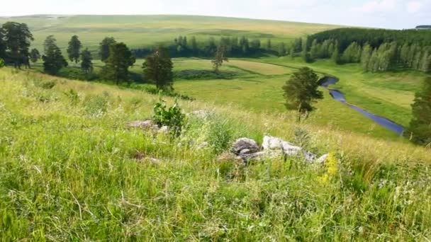 Collines paysage d'été en Russie Oural — Video