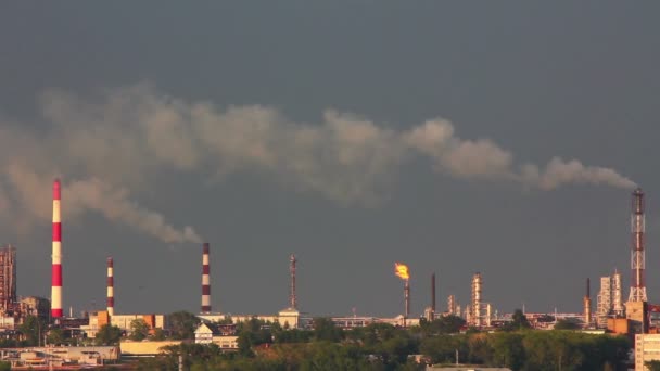 Refinery plant — Stock Video