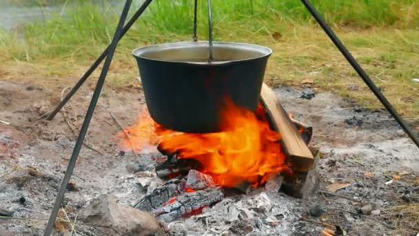 Wasserkocher am Lagerfeuer — Stockvideo